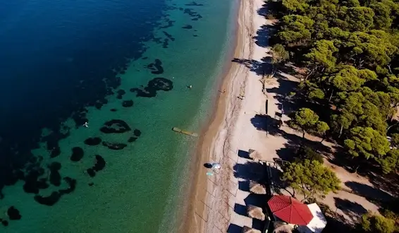 Παραλία Πευκιά
